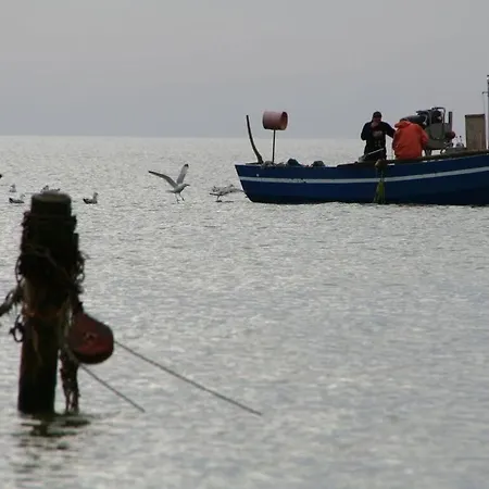 Strandhus - House 2 דירה