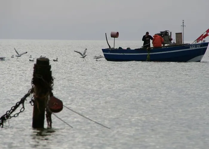 Strandhus - House 2 Appartement